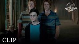 Fred and George Hatch a Plan