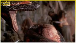 Human Bait For The Brutal Anaconda