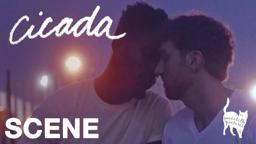 CICADA - I Love You