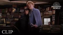 Gilderoy Lockhart