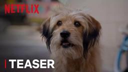 Official Teaser