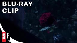 The Rose [Subtitled]