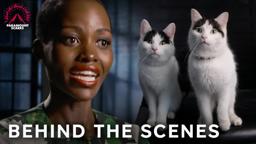 Hiring the Cats of a Quiet Place: Day One & More Behind the Scenes! - Exclusive