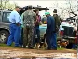 Dealing Dogs