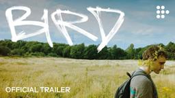 Official Trailer #2