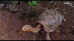 Biodiversity