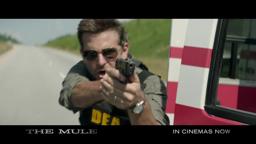 TV Spot