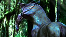 DireHorse