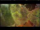 Hallucinogens:  Peyote to LSD: A Psychedelic Odyssey-the Amazon