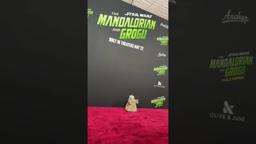 Grogu on the Red Carpet