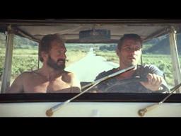 A BIGGER SPLASH: "Lost Dog"