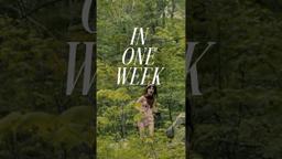 Celebrating one week is only a little obsessive.