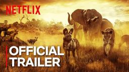Official Trailer