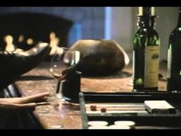 The Trigger Effect Trailer 1996
