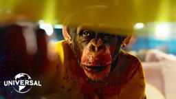 Gordy the Monkey's Rampage