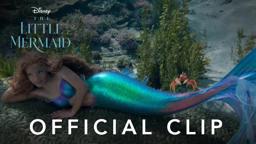 Under The Sea