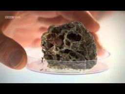 Planet Ant - Life Inside The Colony - BBC