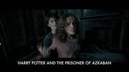 Sirius Black is an Animagus
