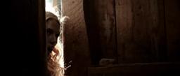 Deranged Movie Trailer 2012