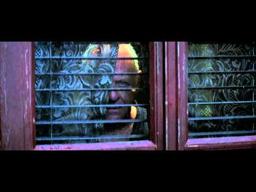 15 sec TV Spot #1