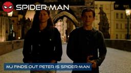 MJ Finds Out Peter Is Spider-Man