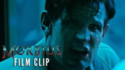 Clip - Curse