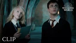 Luna's Lost Possessions