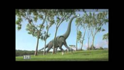 The First Images