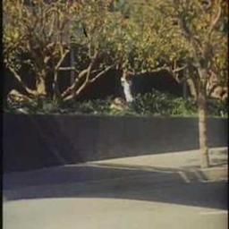 Death Race 2000 Hospital Clip