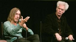'Gimme Danger' Q&A
