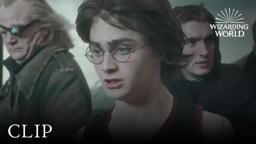 Harry's Gillyweed Transformation