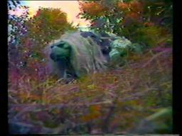 Test Footage