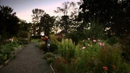 Edge Of The Garden
