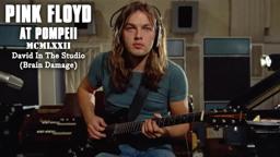 David In The Studio (Brain Damage)