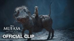 Hakuna Mufasa