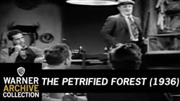 The Petrified Forest  - Trailer