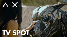 "Discovery" TV Spot