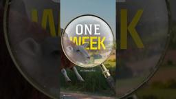 One Week