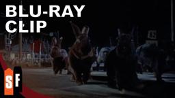 Lepus On The Move