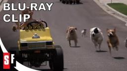 Hot Pursuit