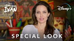 Special Look