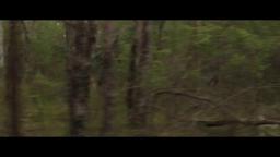 Trailer #2
