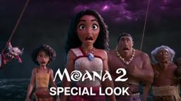 Special Look