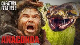 Surviving The Anaconda Regurgitation