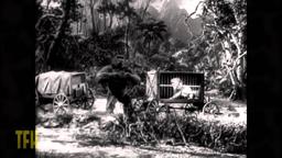 John Landis on MIGHTY JOE YOUNG