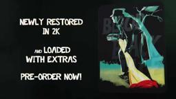 SteelBook Trailer