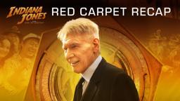 The Stars at the U.S. Red Carpet Premiere