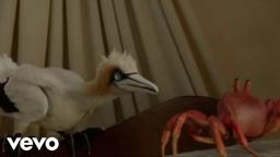 The Scuttlebutt
