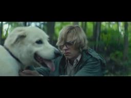 Dog Scene