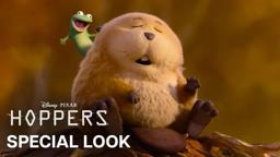 Special Look